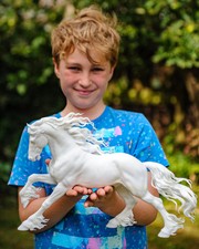 Friesenhengst galoppierendes