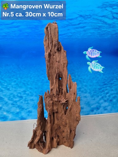 Mangroven aquarium - mangroven, aquarium🗿