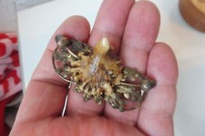 sehr schöne ,alte Brosche , 835 Silber mit Horn , Trachtenschmuck ,Anstecknadel