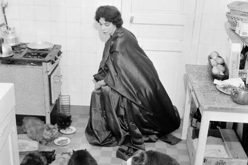 Leonor fini argentinischer - leonor,