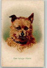 39152207 - Der kluge Hans AK