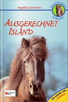 Pferdeabenteuer isländer - pferdeabenteuer,