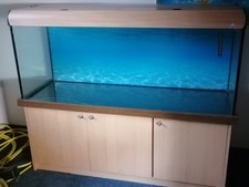 Aquarium 450 Liter mit LED Beleuchtung, 150 x 50 x 60 cm