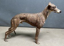 Windhund Whippet gestromter