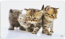 2 x Kesper Süßes Platzset /