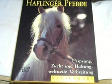 Haflinger Pferde : Ursprung