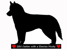 Siberian Husky Hund flexibel