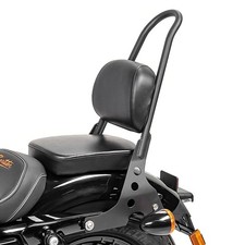 Defekt sissy bar abnehmbar - defekt:,