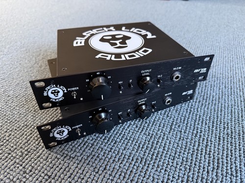 Black lion audio - lion, b173