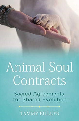 Animal soul contracts - contracts:, sacred