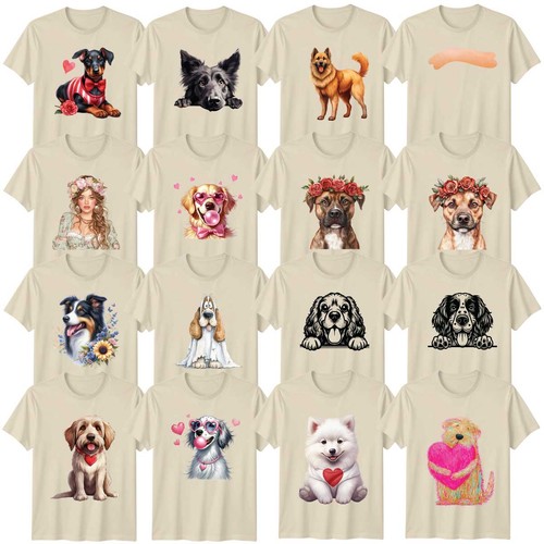 Süß hund erwachsene - süß,