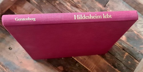 Hildesheim lebt zerstörung - lebt.,