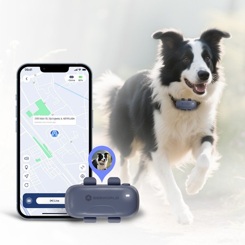 Haustier hund tracker live - haustier,