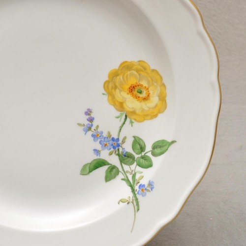 Meissen blume teller - blume, 21,5