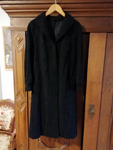 Schlichte eleganz persianer - schlichte,