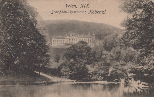 Alte ansichtskarte wien - alte,
