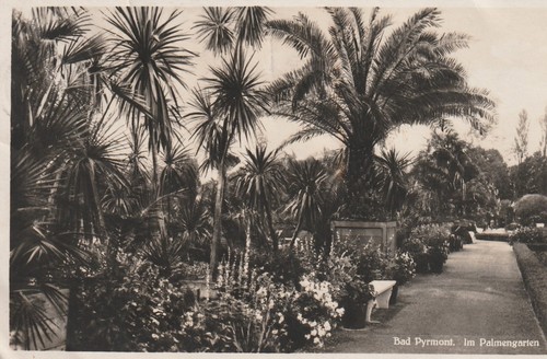 Bad pyrmont im - ak,