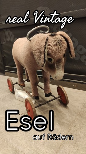 Esel auf rollen - esel,