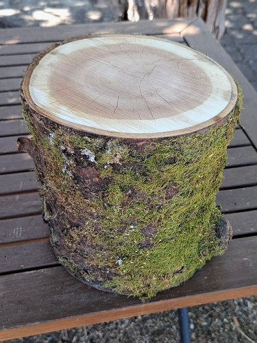 Holz wildkirsche baumstamm - holz,