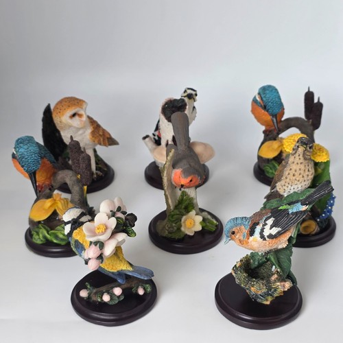 Vogel figuren unsere schöne - vogel,