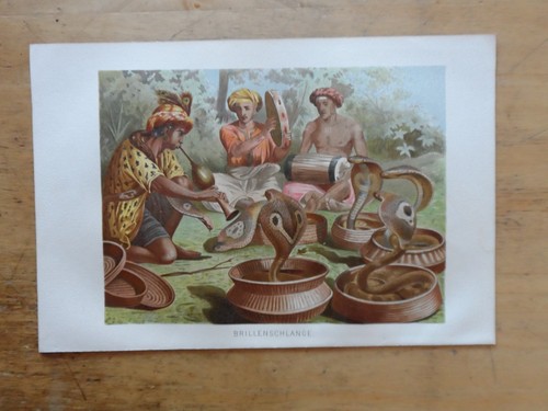 Orig chromolithographie - orig.(1892),