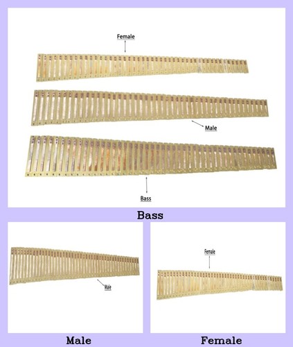 Harmonium teile für scale - für,