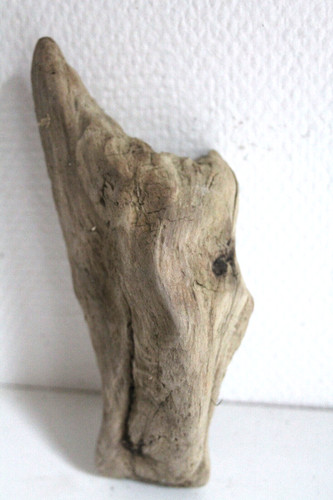 Schwemmholz treibholz skulptur - schwemmholz,
