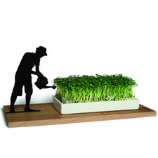 Kresseschale Gärtner aus Holz