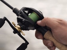 Delphin ZANDERA Baitcast rolle