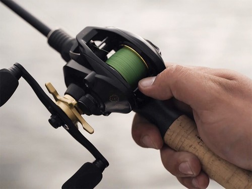 Delphin zandera baitcast rolle - baitcast,