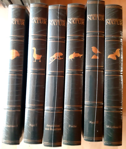 Konvolut brockhaus faszination - konvolut,