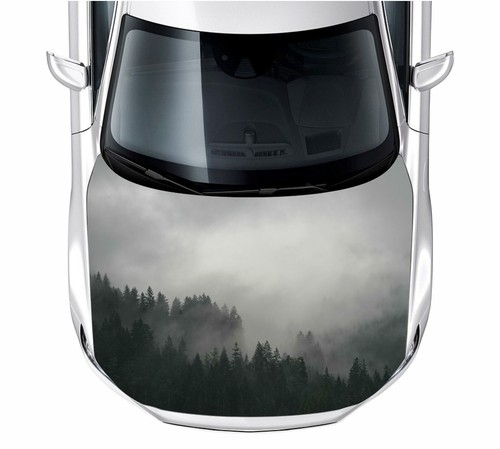 Motorhaube auto aufkleber - motorhaube, auto-aufkleber