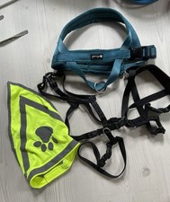 Hunde Geschirr Set Für Kleine bis Mittlere Hunde