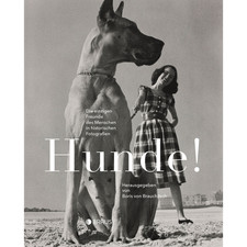 Hunde!: Die einzigen Freunde