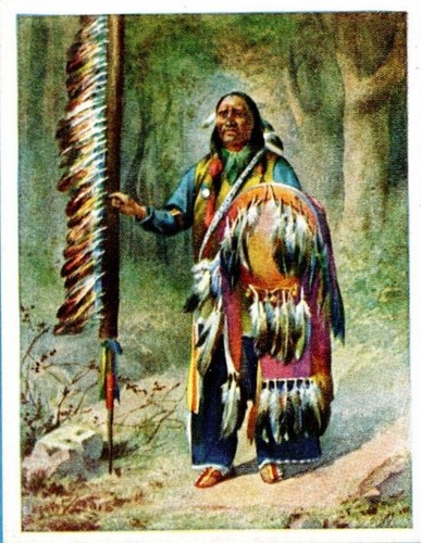 115 467 sammelbild arapaho - 115/467,