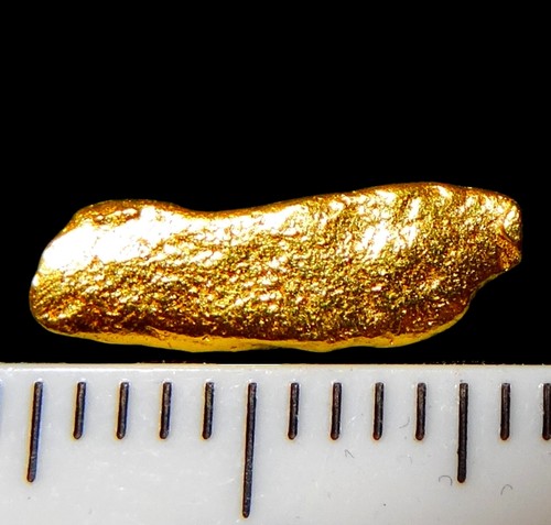 Xxl goldnugget mm - ,
