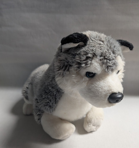 Kuschelwuschel hund husky - kuschelwuschel,