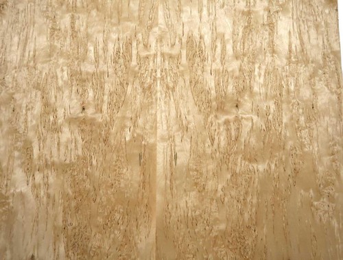 Birke maser furnier holz - maser,