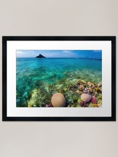 Aqua Dreams Gerahmter