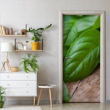 Türtapete selbstklebend