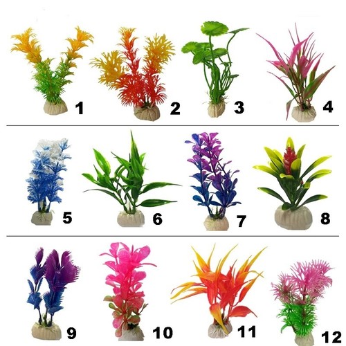 Aquarium pflanzen - aquarium,