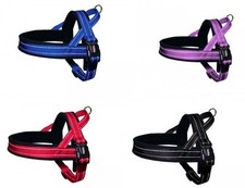 Norweger Geschirr od. Halsband oder Führ-Leine Neopren weich handlich Nobby 