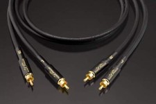 Horn Audiophiles Neutral