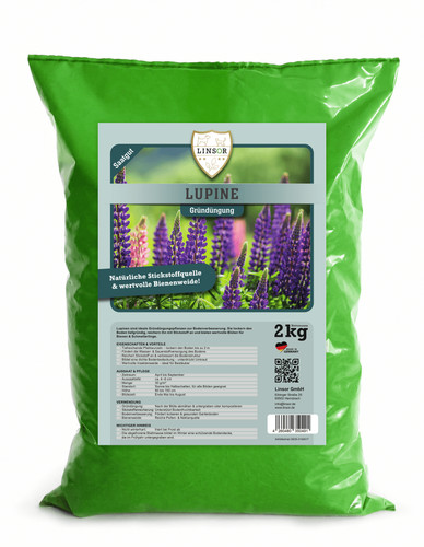Linsor lupine samen - linsor,