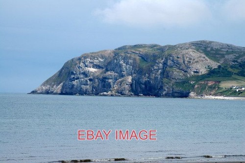 Foto little orme das - orme,