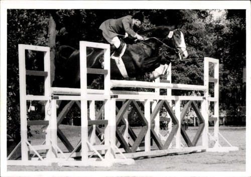 Foto springreiten sprung - foto, ak
