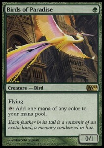 Mrm foil birds of - *mrm*,