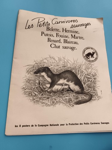 Buch les petits carnivores - les,