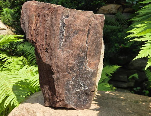 Versteinertes holz aus zwenkau - versteinertes,