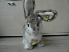STEIFF Hase Pummy  mit